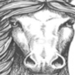 Meet your Posher, Jose